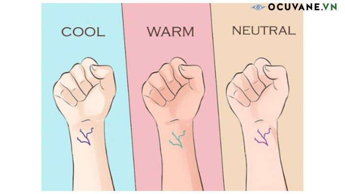Mặt Nhỏ Đeo Kính Nào Hợp? Khám Phá Các Mẫu Kính Hoàn Hảo 11 Lựa chọn màu sắc