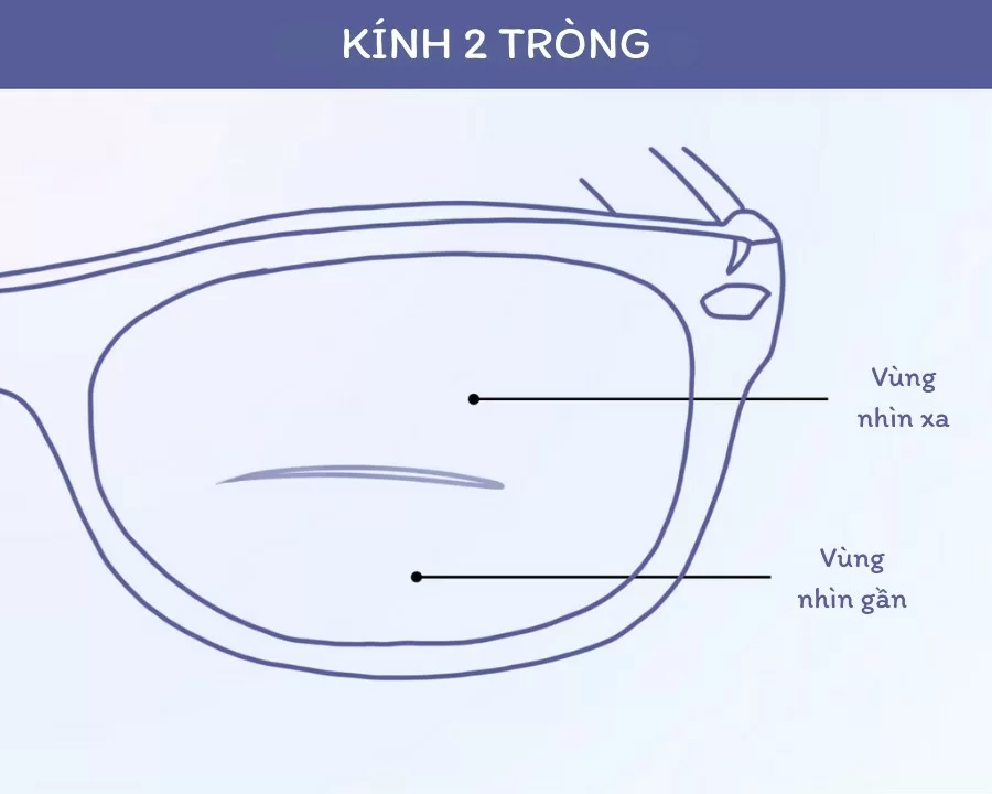 Tìm Hiểu Kính Cận 2 Tròng Là Gì? Có Nên Dùng Không? 3 kính cận 2 tròng-Cấu tạo của kính 2 tròng