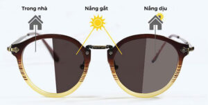 trong kinh can doi mau gia bao nhieu 1